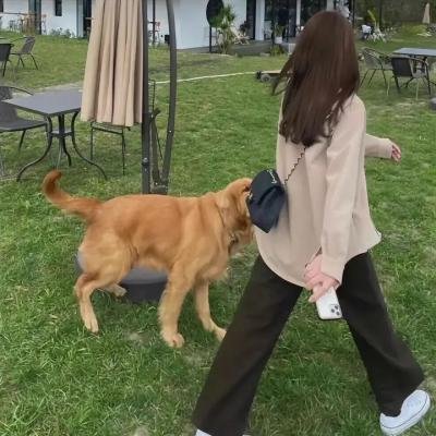 唤醒者